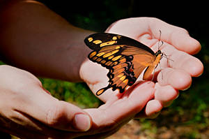 Visit PsychicAccess.com