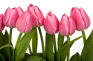 Get a FREE reading at PsychicAccess.com right now!