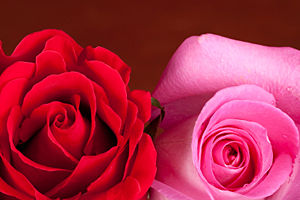 Get a free psychic reading right now at PsychicAccess.com