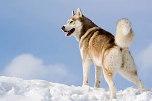 Get a FREE psychic reading right now at PsychicAccess.com