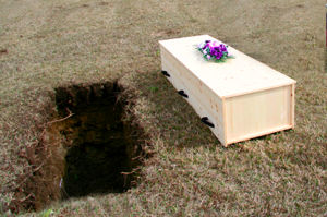 Get a FREE psychic reading right now at PsychicAccess.com