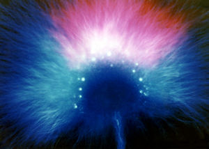 Get a FREE psychic reading right now at PsychicAccess.com